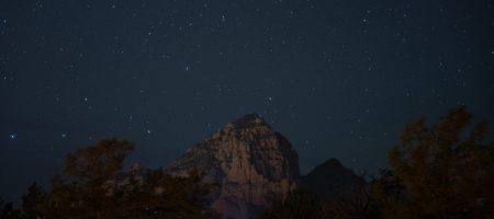 ambiente-sedona-night-sky-trees-scaled